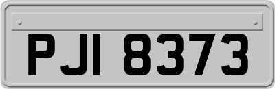 PJI8373
