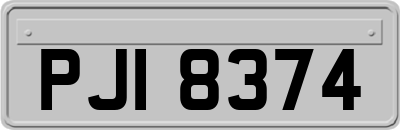 PJI8374