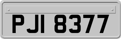 PJI8377