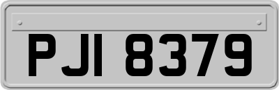 PJI8379