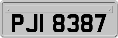 PJI8387
