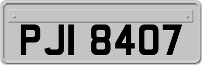 PJI8407