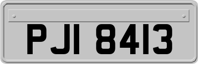 PJI8413