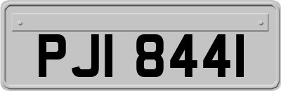 PJI8441