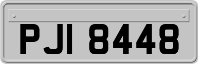 PJI8448