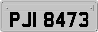 PJI8473