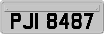 PJI8487