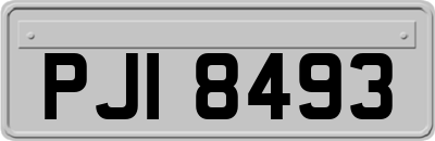 PJI8493