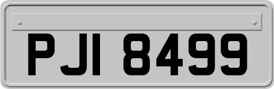 PJI8499