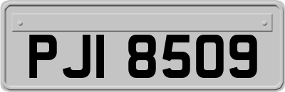 PJI8509