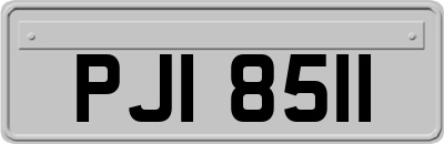 PJI8511