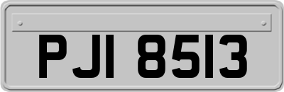 PJI8513