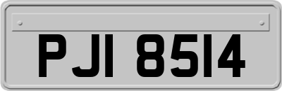 PJI8514