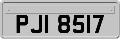 PJI8517