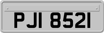 PJI8521