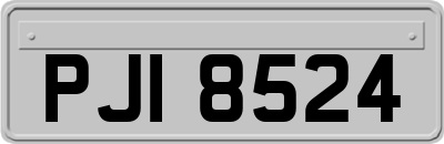 PJI8524
