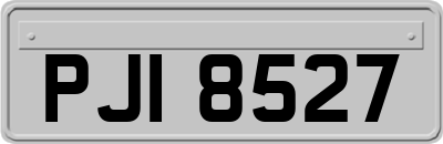 PJI8527