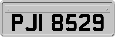 PJI8529