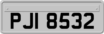 PJI8532