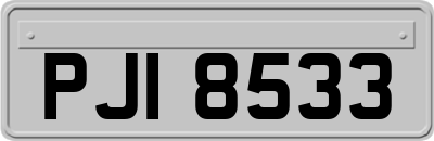 PJI8533