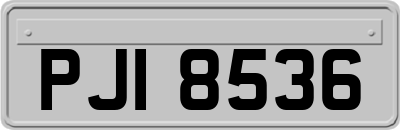 PJI8536