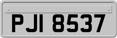 PJI8537