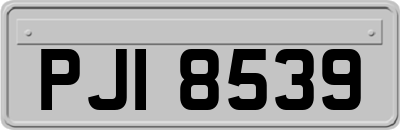 PJI8539