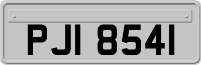 PJI8541