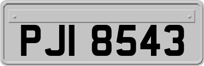 PJI8543