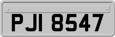 PJI8547