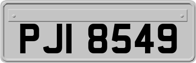 PJI8549