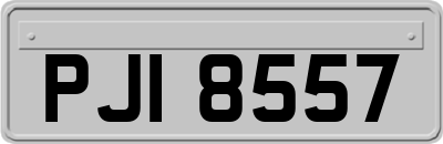 PJI8557