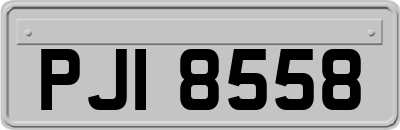PJI8558