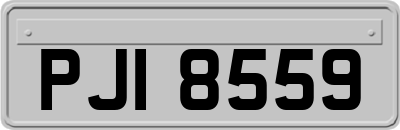 PJI8559