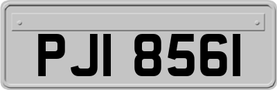 PJI8561