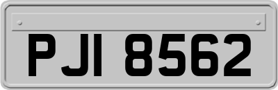 PJI8562