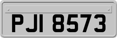 PJI8573