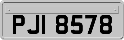 PJI8578