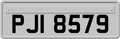 PJI8579