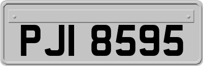 PJI8595