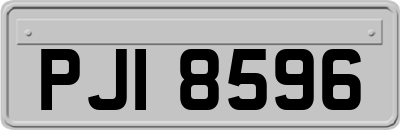 PJI8596