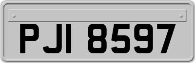 PJI8597