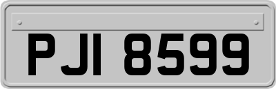 PJI8599