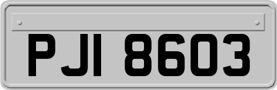 PJI8603