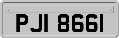 PJI8661