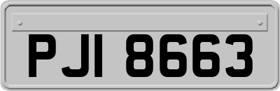 PJI8663