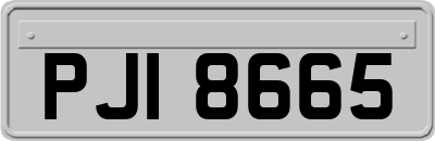 PJI8665