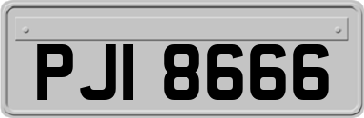 PJI8666