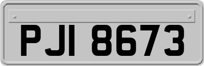 PJI8673