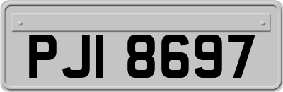 PJI8697